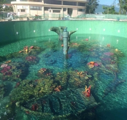 水下造景